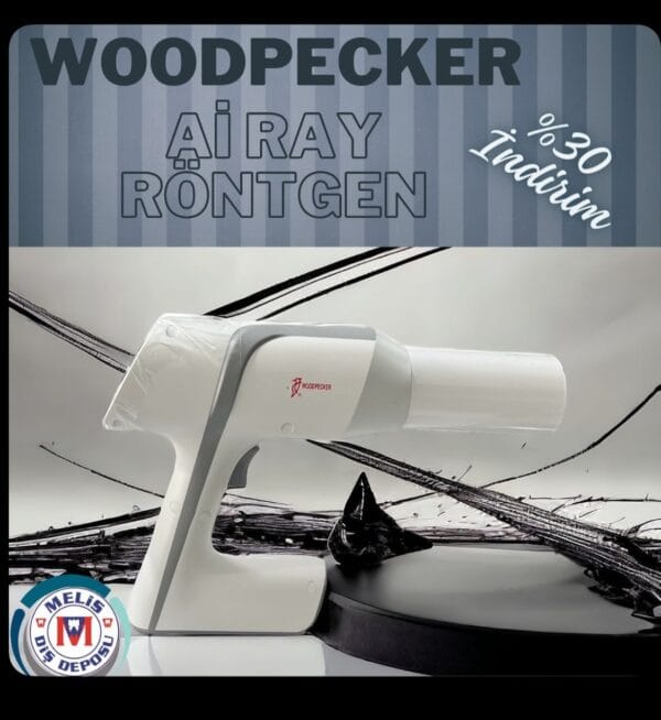 WOODPECKER FOR AI-RAY